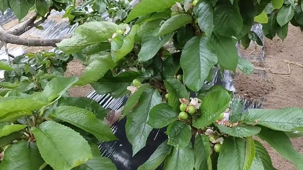 목단강 공장5
