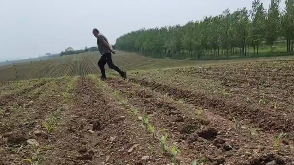 목단당공장3